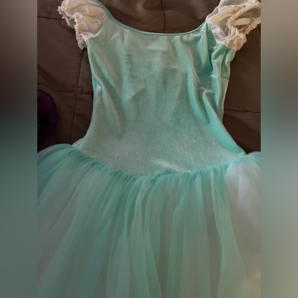 Like new Adult medium ballet costume and barette - Picture 11 of 16